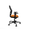 Viinirypäleen siemenuute, 500 mg, maksimivahvuus - 90 v-kapselia