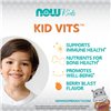 Kid Vits, Berry Blast - 120 chewables