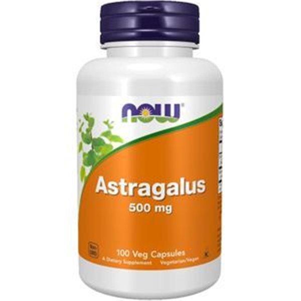 Astragalus, 500mg - 100 caps