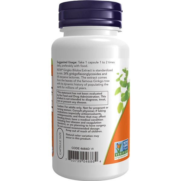 Ginkgo Biloba, 60 mg - 120 kapselia