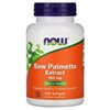 Saw Palmetto Extract, 160mg - 240 softgels