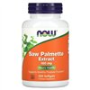 Saw Palmetto Extract, 160mg - 240 softgels
