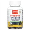 Probiotic + Prebiotic, Blackberry - 50 gummies