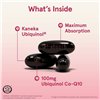 Ubiquinol QH-absorb, 100mg - 60 softgels