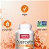 Quercetin, 500mg - 100 vcaps