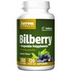 Bilberry + Grapeskin Polyphenols - 120 vcaps