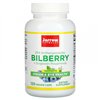 Bilberry + Grapeskin Polyphenols - 120 vcaps