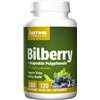 Bilberry + Grapeskin Polyphenols - 120 vcaps