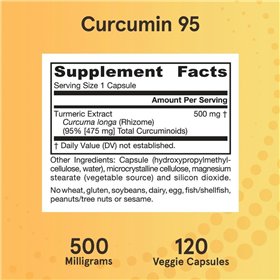 Curcumin 95, 500mg - 120 vcaps