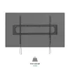 TV Statīvs TM Electron 60"-120" 120 kg