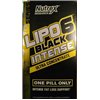 Lipo-6 Black Intense Ultra Concentrate - 60 caps