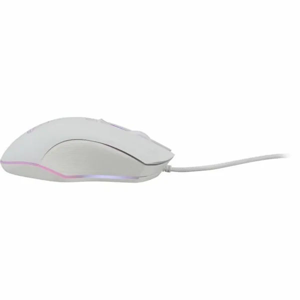 Reishi-sienikarkit, herkullinen omena - 60 karkkia