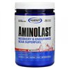 Aminolast, Fruit Punch - 420g