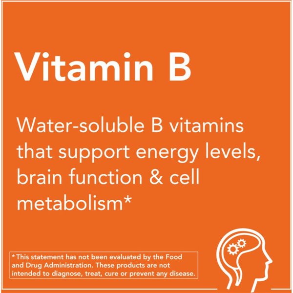 Vitamin B-100 Sustained Release - 100 tabs