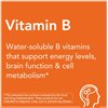 Vitamin B-100 Sustained Release - 100 tabs