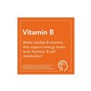Vitamin B-100 Sustained Release - 100 tabs