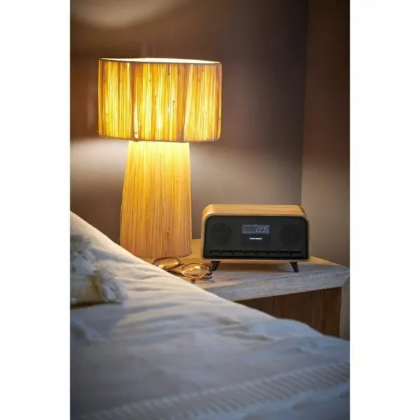 Radio Thomson Vintage Cosy Brown noir Vintage
