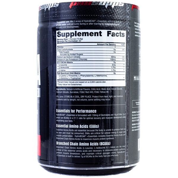 HydroBCAA + Essentials, vaisių punšas - 414 g