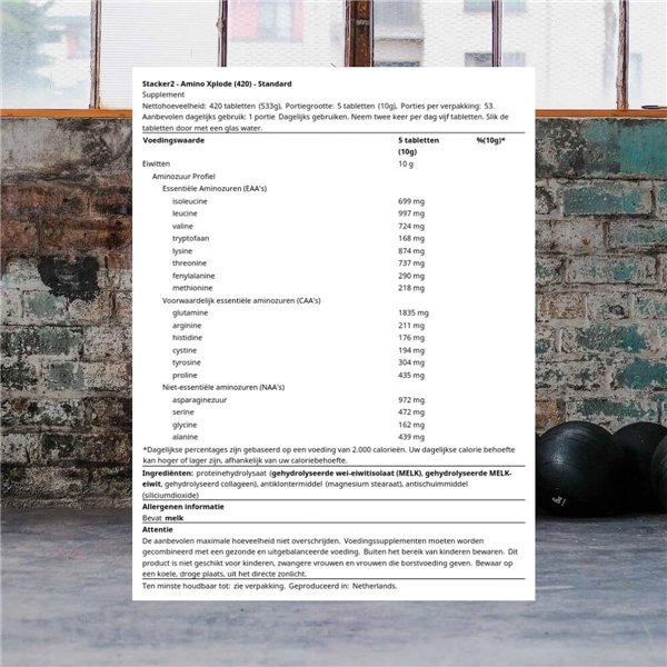 Amino Xplode 10 000–420 skirtukų