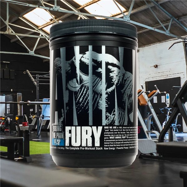 Animal Fury, мороженое - 483 г