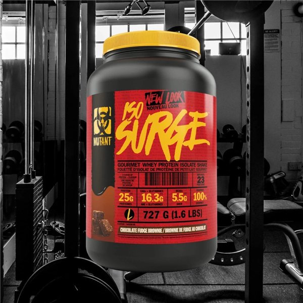 Iso Surge, Chocolate Fudge Brownie - 727g 