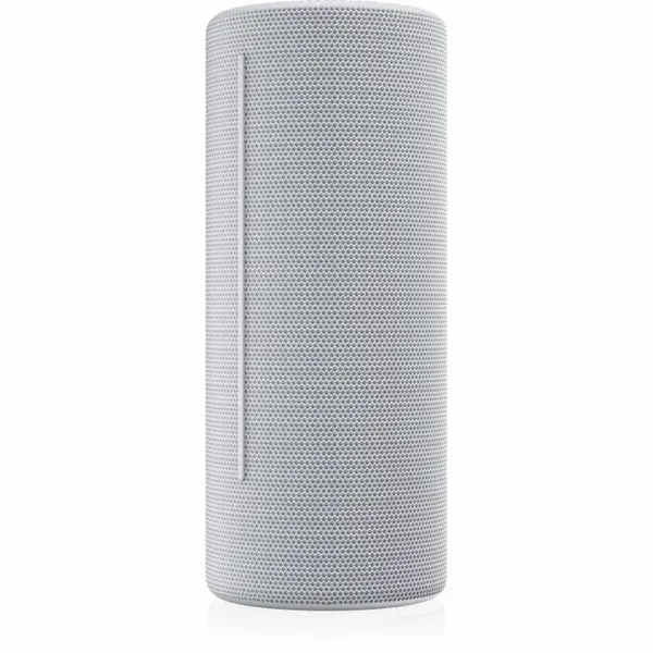 Portatīvais Skaļrunis Loewe Pelēks 15 W 60 W