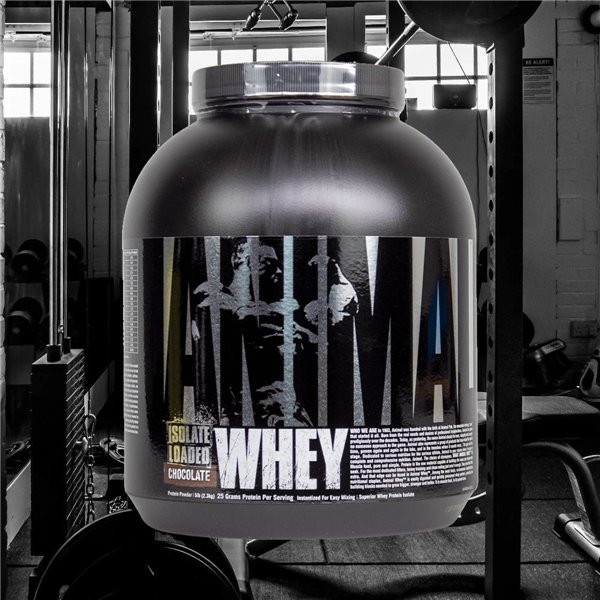 Animal Whey, Chocolate - 2300g