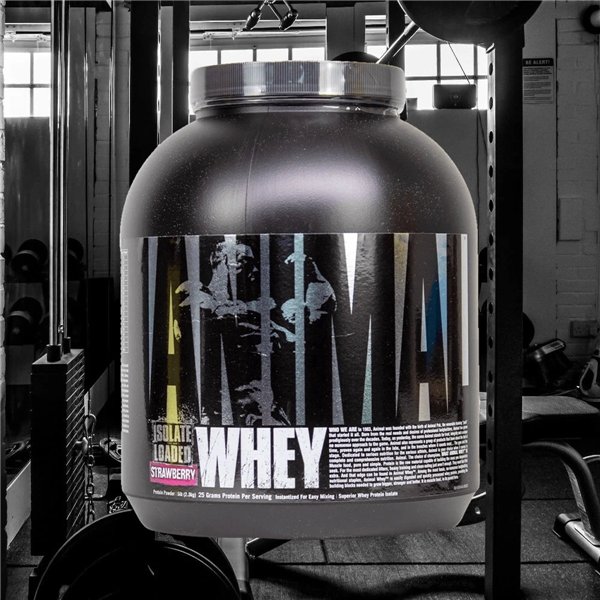 Eläinhera, mansikka - 2300g