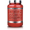 100% Whey Protein Professional, Salted Caramel - 920g