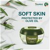 Olive Extra Nourishing Cream - 150 ml.