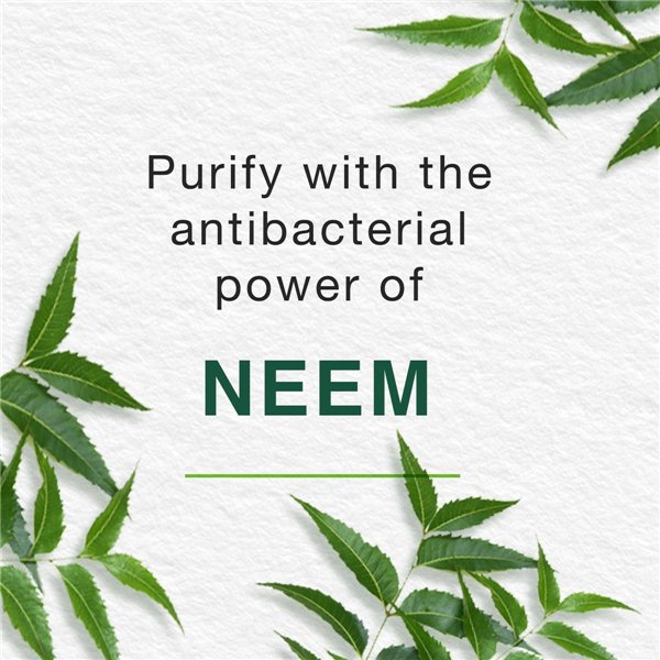 Purifying Neem Foaming Face Wash - 150 ml.