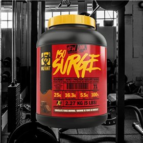 Iso Surge, Chocolate Fudge Brownie - 2270g 