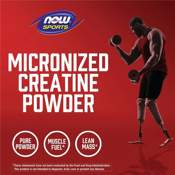 Micronized Creatine Monohydrate - 500g