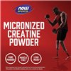 Micronized Creatine Monohydrate - 500g