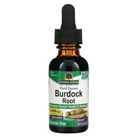 Burdock Root - 30 ml.
