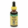Burdock Root - 30 ml.