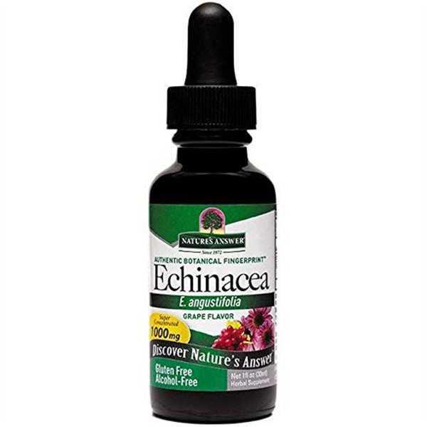Echinacea Root - 30 ml.