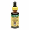 Echinacea Root - 30 ml.