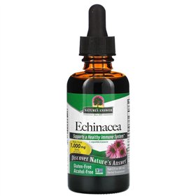 Echinacea Root, 1000mg - 60 ml.