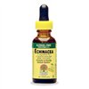 Echinacea Root, 1000mg - 60 ml.
