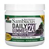 Sambucus Daily Gummies 2X Strength, Black Elderberry - 45 vegan gummies