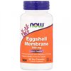Eggshell Membrane, 500mg - 60 vcaps