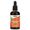 Echinacea Extract - 59 ml.