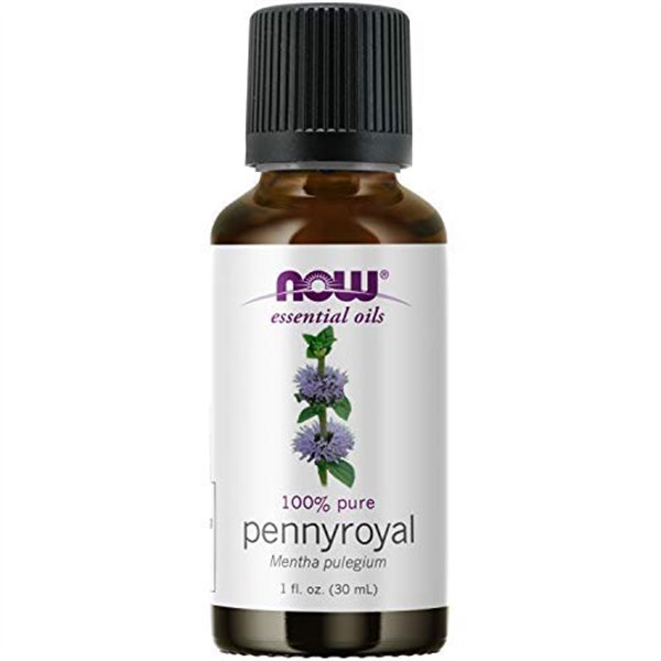 Eterinis aliejus, pennyroyal aliejus - 30 ml.