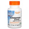 Cinnamon Extract with CinnulinPF, 125mg - 60 vcaps
