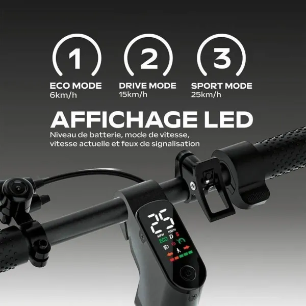Electric Scooter EZWAY Black 450 W 25 km/h