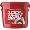 100% Whey Protein Professional, Vanilla - 5000g