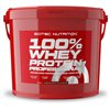 100% Whey Protein Professional, Ваниль - 5000 г