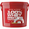 100% Whey Protein Professional, Banana - 5000g