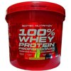100% Whey Protein Professional, Strawberry - 5000g